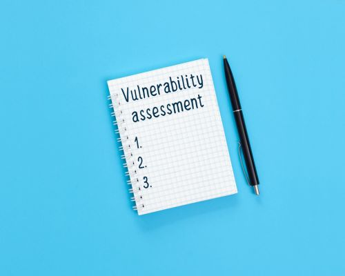 network vulnerability assessment