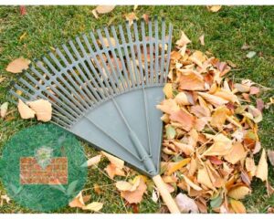 Firewall rule optimization and Cleanup