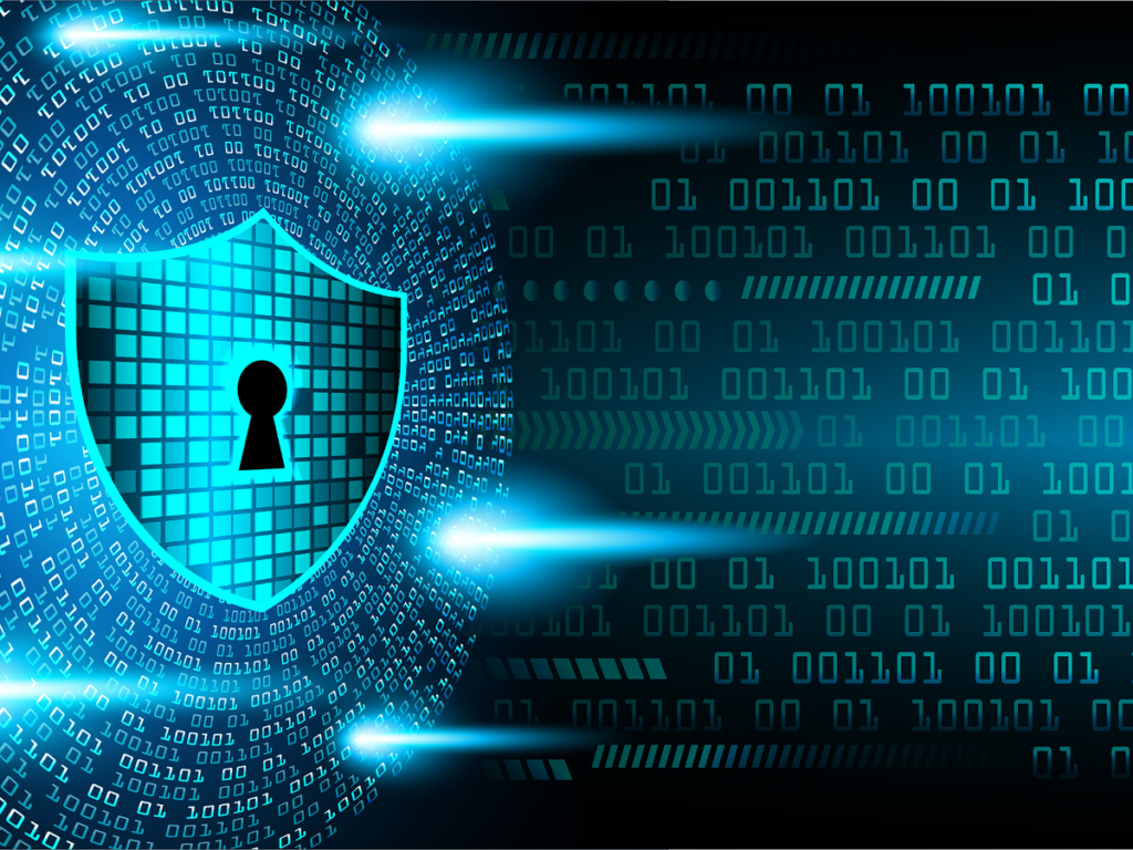 Network Security Assessments