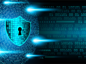 Network Security Assessments