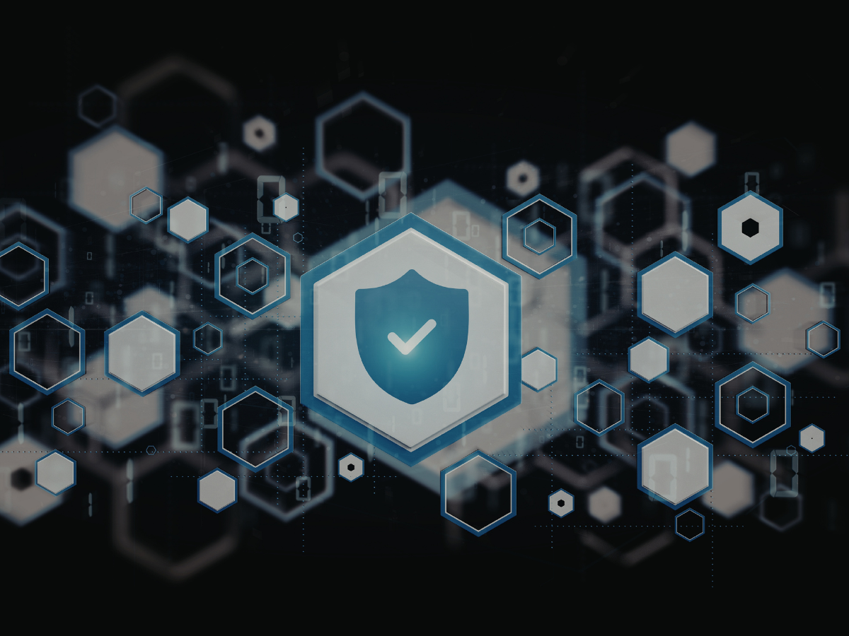 Network Security Assessment