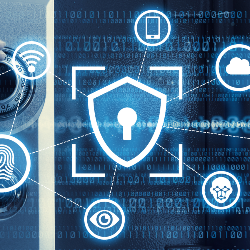 Network Security Assessments
